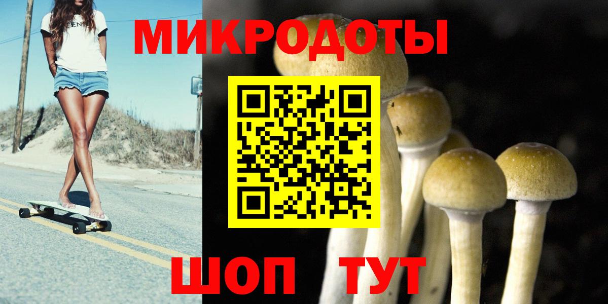 Псилоцибиновые грибы мухоморы Елабуга